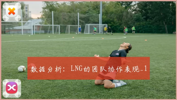 数据分析：LNG的团队协作表现_1