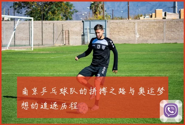 南京乒乓球队的拼搏之路与奥运梦想的追逐历程